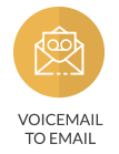 voice to email