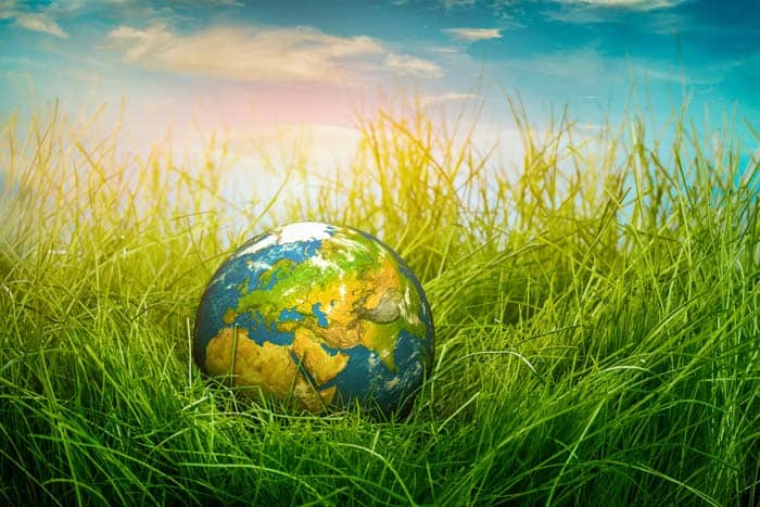 Environmental Issues and Their Impact on Business