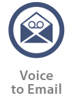 voice to email