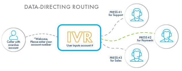 IVR data directed routing